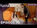 KUMA Episode 16 Multiple Dubbing And Subtitles Turkish Series Kumadizisi