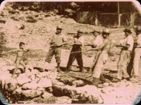 DAVID RICOV - DI VITAR LJUBI MASLINADE