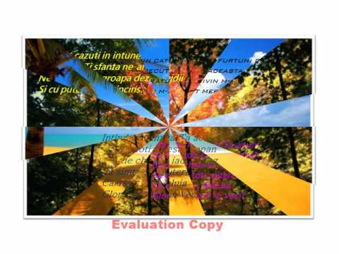 Fratii Sfara- Intinde-ti mana