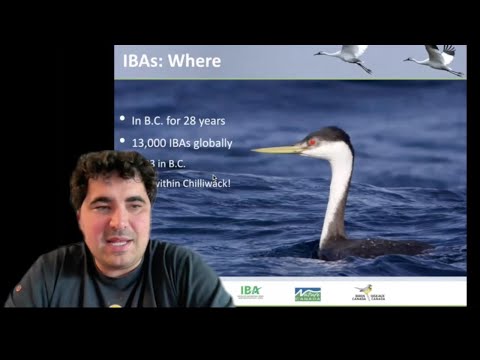 Key Biodiversity Areas in the Chilliwack Area by Liam Ragan