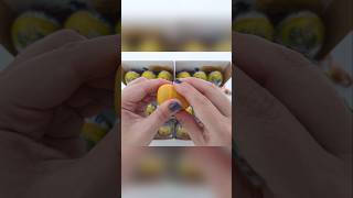 This is the most incredible Kinder Surprise series.