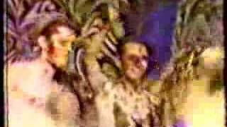 Moonflowers - get higher