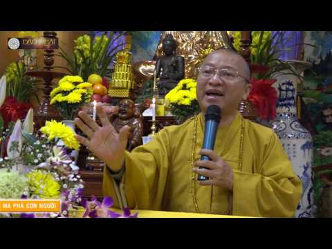 Vấn đáp: Ma phá con người, cầu siêu và tuần thất, cầu siêu cho cha mẹ, tự tin và kiêu mạn, chứng thánh quả, Phật có tóc