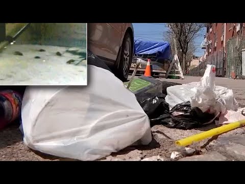 NYC's $14.5 million cleanup effort get underway