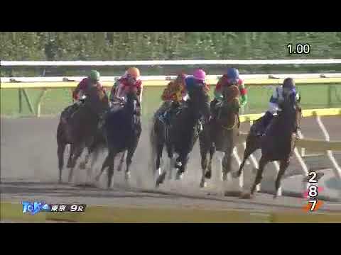 2017.11.25  Cattleya Sho (JPN) - Ruggero