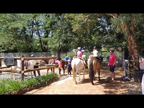 Seyunique Equestrian theme