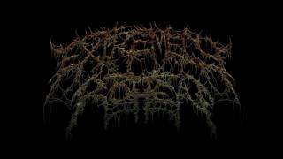 Brutal Death Metal And Goregrind Compilation Part 20