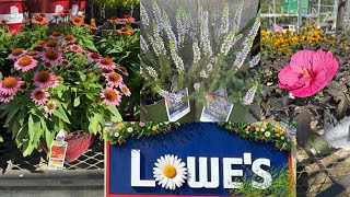 LOWES BEST NEW PLANTS-ARRIVALS/  FOR SUMMER AND FALL & HOW TO MAKE YOUR GARDEN BEAUTIFUL