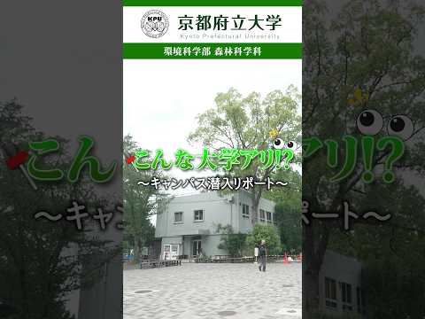 京都府立大学 〜キャンパス潜入レポート〜環境科学部 森林科学科編！