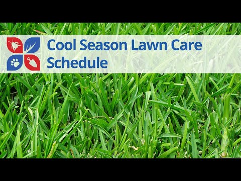 Year-Round Cool-Season Lawn Care Calendar | DoMyOwn.com