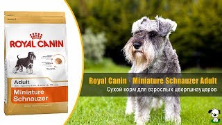 Royal Canin Miniature Schnauzer Adult 7,5 кг (2220075) - відео 1