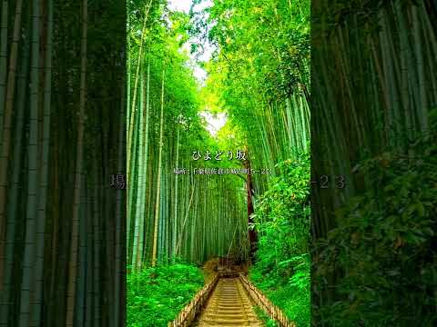 千葉で行くべき絶景スポットはここ！#絶景スポット