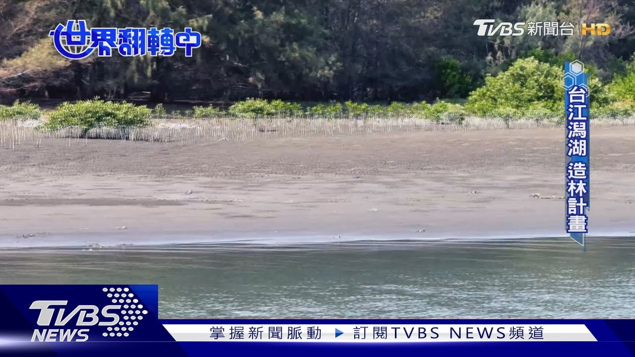 「植樹」拚台江潟湖保衛 金控8縣市目標種10萬樹