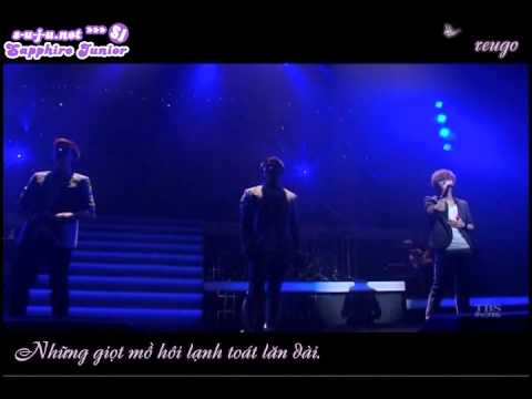 [Vietsub+Kara].100923.TBS.SJ.KRY.Special.Concert.in.Japan - In My Dream.
