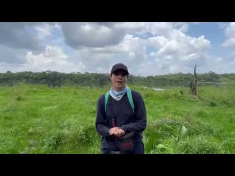 Suport Women Scientists Saving Endangered Wildlife