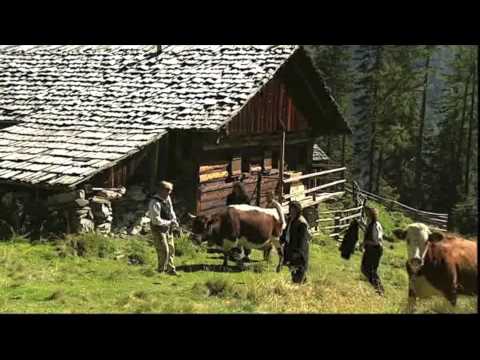 Ohne Kua bisch koa Baur  - Rieserferner