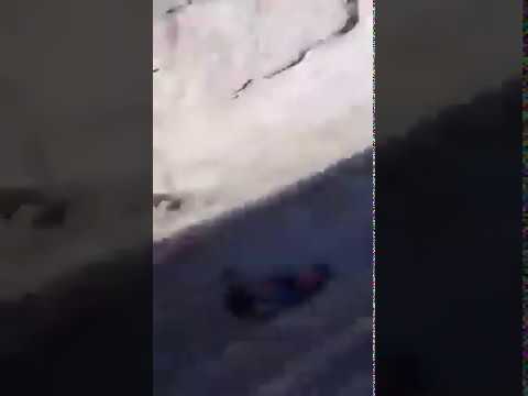 Сука шарманда ифлос шлюха