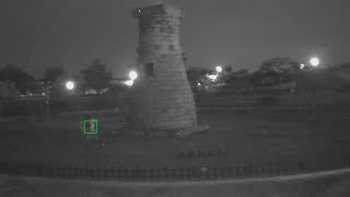 반복되는 문화재 훼손…당국은 뭐 하나 / 연합뉴스TV (YonhapnewsTV)