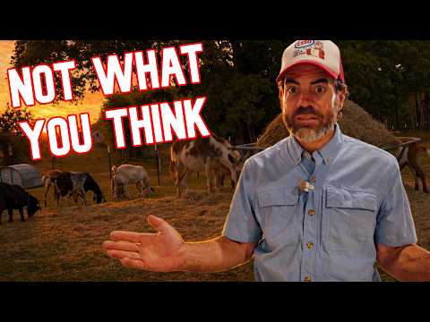 Farm Evening Routines: What You Really Need to Know