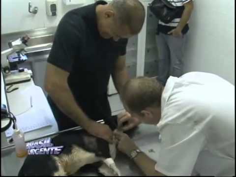 Brasil Urgente Campinas 25 04 2012 - bloco 01