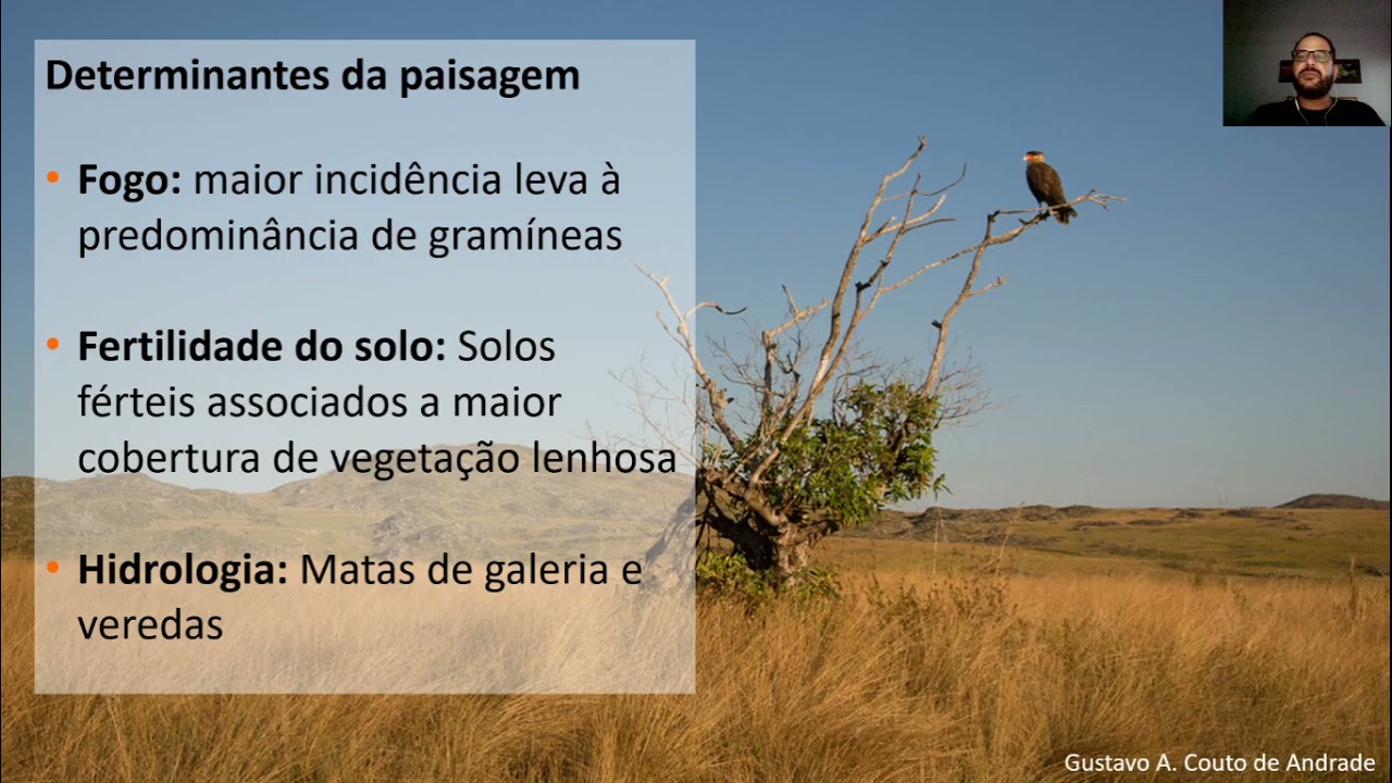 Aula - Biomas Brasileiros Parte 4: Cerrado e Ecótonos