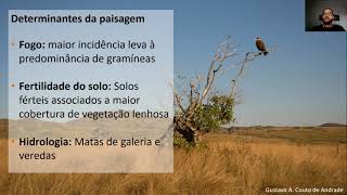 Aula - Biomas Brasileiros Parte 4: Cerrado e Ecótonos
