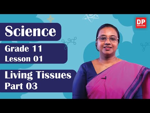 Lesson 01 - Living Tissues (Part 03) | Grade 11 Science in English