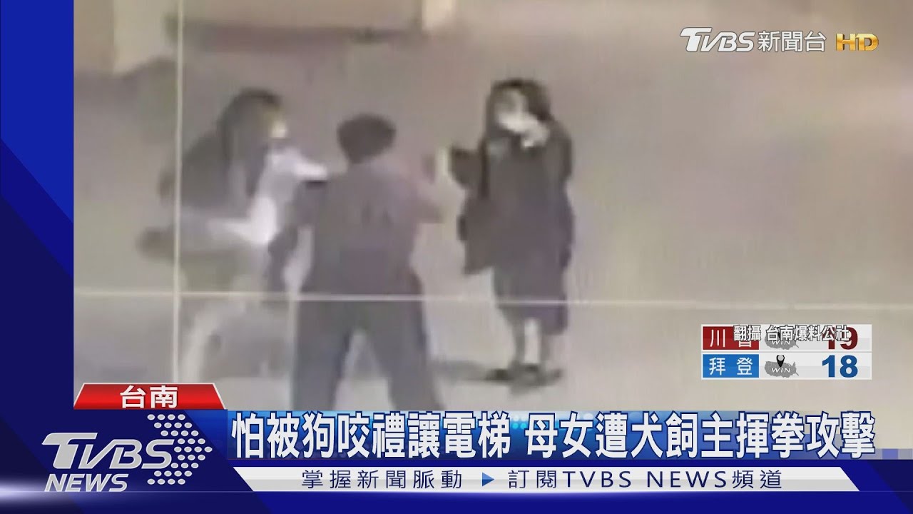 怕被狗咬禮讓電梯 母女遭犬飼主揮拳攻擊