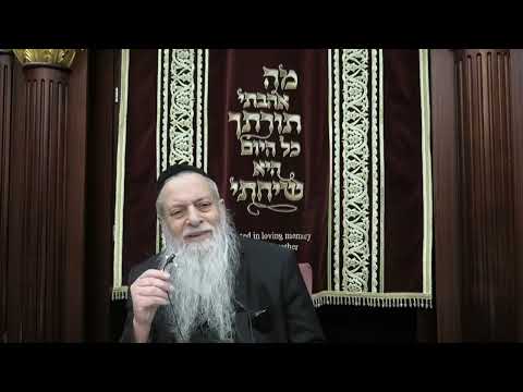 הרב מרדכי עטייה - תשפ"ו - פסח - גדלות וקטנות פרצופי נשמה, חיה ושמותם עפ"י שעה"כ דף פ"ב ע"א דרוש ו'