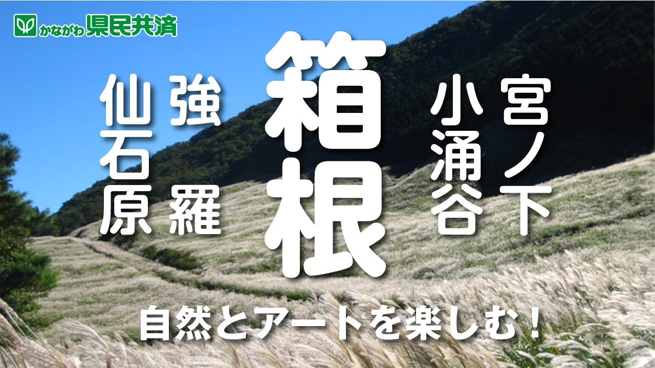 かながわ県民共済 動画ギャラリー 神奈川県民共済生活協同組合