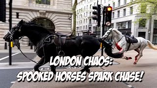 Shocking London Rampage: Military Horses Injured! Witness the Dramatic Chase!