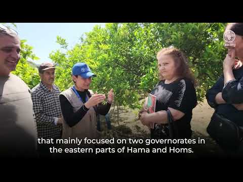 Promoting rain harvest technique through FAO Farmer Field School