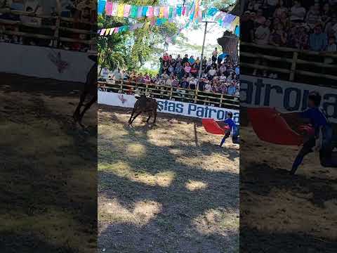 Jornada Taurina En San Luis Del Carmen