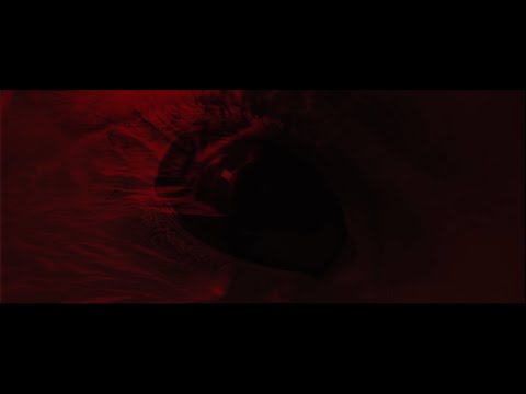 zawada - Frozen Cappuccino