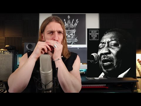 Muddy Waters - Baby Please Don't Go - Blues Harmonica Lesson - Fast Triplets! (C Harp)
