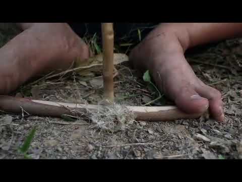 20 # Days # Survival # And # Build # In # The # Rain # Forest #   # Full Video