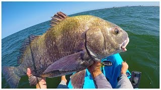 First Black Drum at the CBBT (EliasV Meetup)