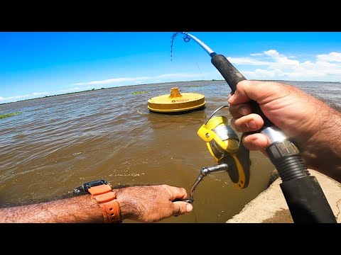4 días PESCANDO SOLO, pesca urbana