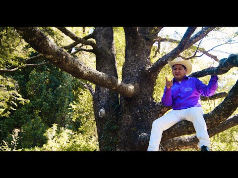 Hernán y La Nueva Explosión - Mentiras Bonitas (Video)