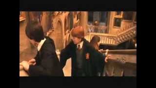 Ja jsem gay - harry potter.wmv Ja jsem gay - harry potter.wmv