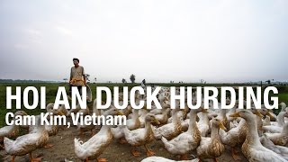 preview picture of video 'Hoi An Duck Hurding - Vietnam'