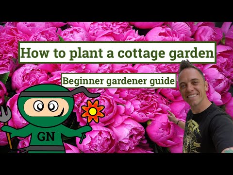 How to create a cottage garden: beginner guide to gardening