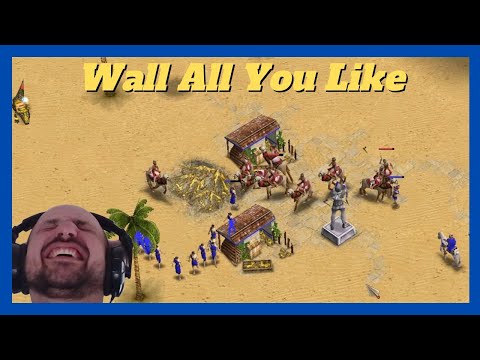 RAIDING PARTY |  AC (Hades) vs Skady (Ra) #aom #ageofempires