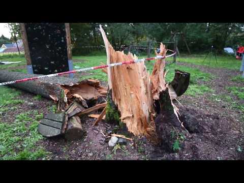 Baden-Württemberg: Baum erschlägt Jungen im Zeltlager