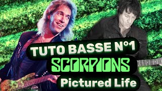 Pictured Life - Scorpions (tutoriel basse complet)