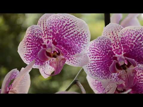 Beats They Know Your Sins 164 Bpm Instrumental