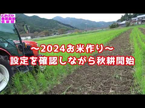 鶏小屋を内側から整理するにはどうすればよいですか？農家によると、6 つの必須機能と 3 つの絶対に避けるべき機能  庭園