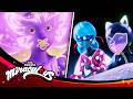 MIRACULOUS A FAIRY GOOD NIGHT Akumatized SEASON 6 Tales Of Ladybug Cat Noir