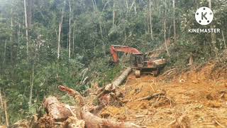 Download lagu cara2  Kerja kayu balak kelantan malaysia mp3 Download lagu cara2  Kerja kayu balak kelantan malaysia mp3