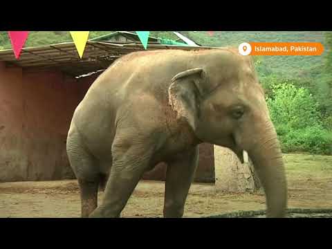 什麼是好消息?本週好消息綜述 - 生活方式篇 (What’s Good? A roundup of this week’s good news - Lifestyle)